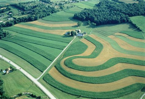 strip crop|Best Management Practices CONTOUR FARMING AND STRIP .